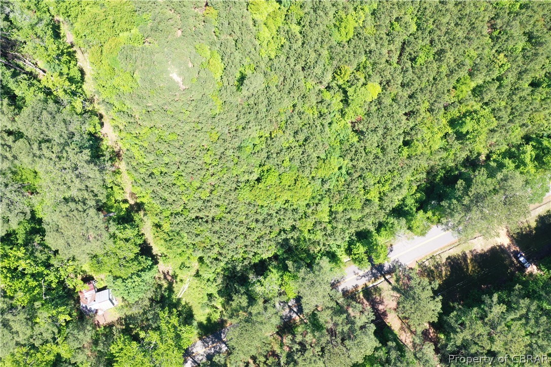 16-ac Ridge Road Cobbs Creek, VA 23035 - Photo 17 of 43 View of birds eye view of property