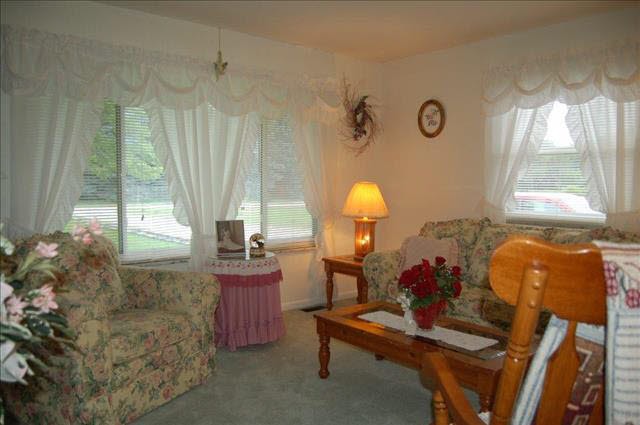 6195 Wells Road Petersburg, MI 49270 - Photo 4 of 12 LIVING ROOM