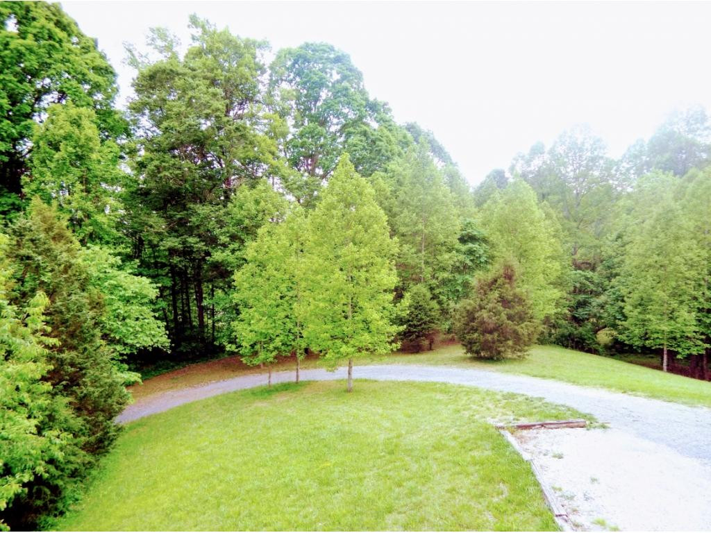 304 Ellis Road Blountville, TN 37617 - Photo 8 of 36 view of driveway and parking