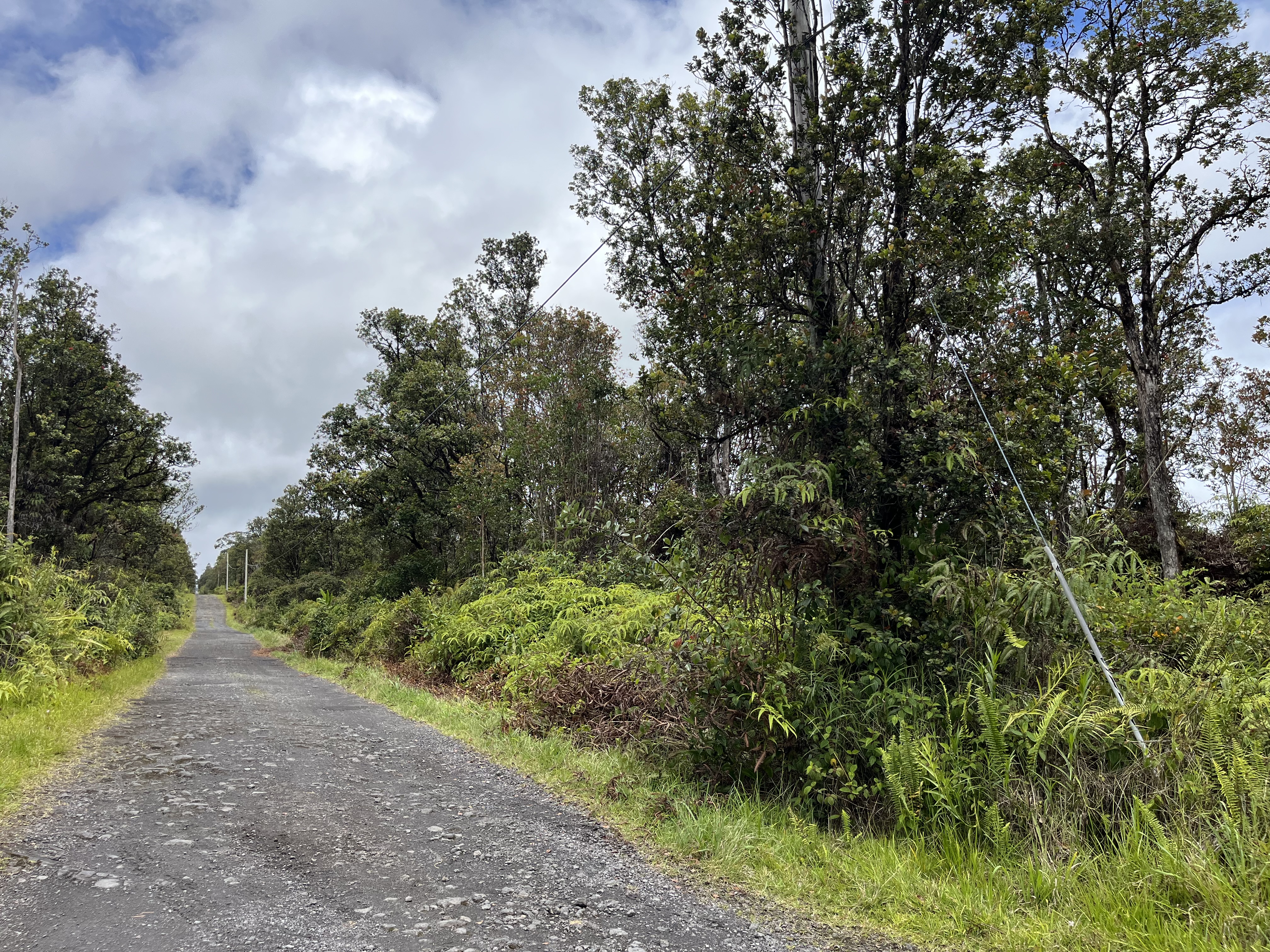 46 Ala Naulani Road Mountain View, HI 96771 - Photo 3 of 13 a view of a yard with plants and a tree