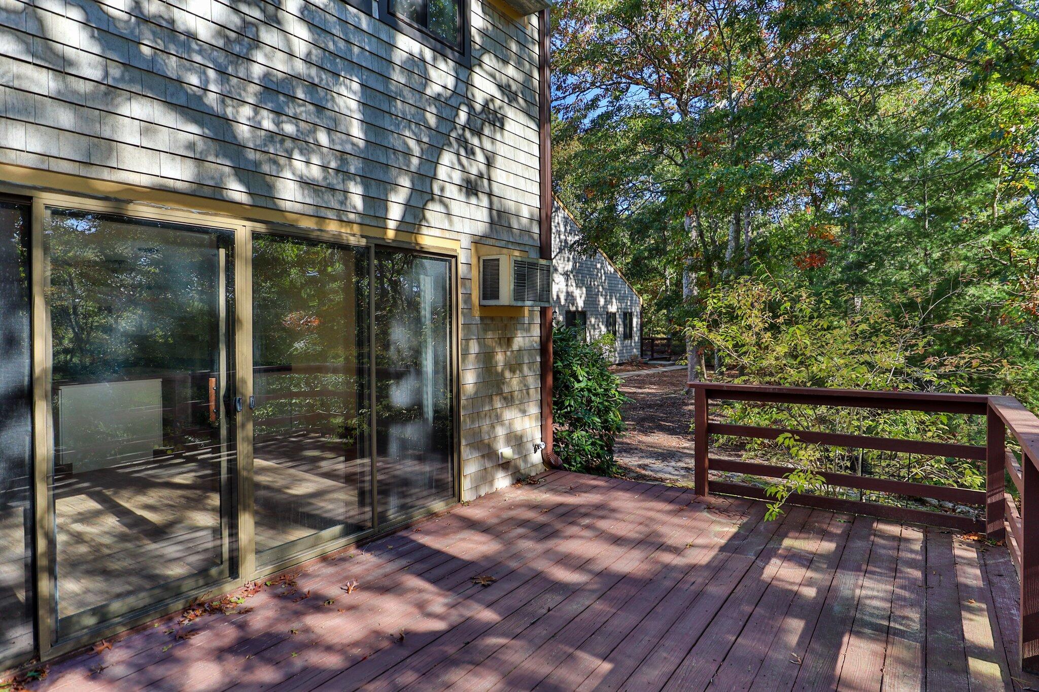 81 Round House Road Bourne, MA 02532 - Photo 21 of 32 a bench is sitting in middle of tall trees