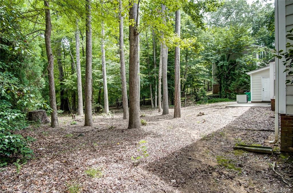 2616 Rustic Ridge Court Charlotte, NC 28270 - Photo 28 of 30