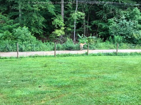 55 Little Fork Road Elkview, WV 25071 - Photo 7 of 23 Gallery Image 7