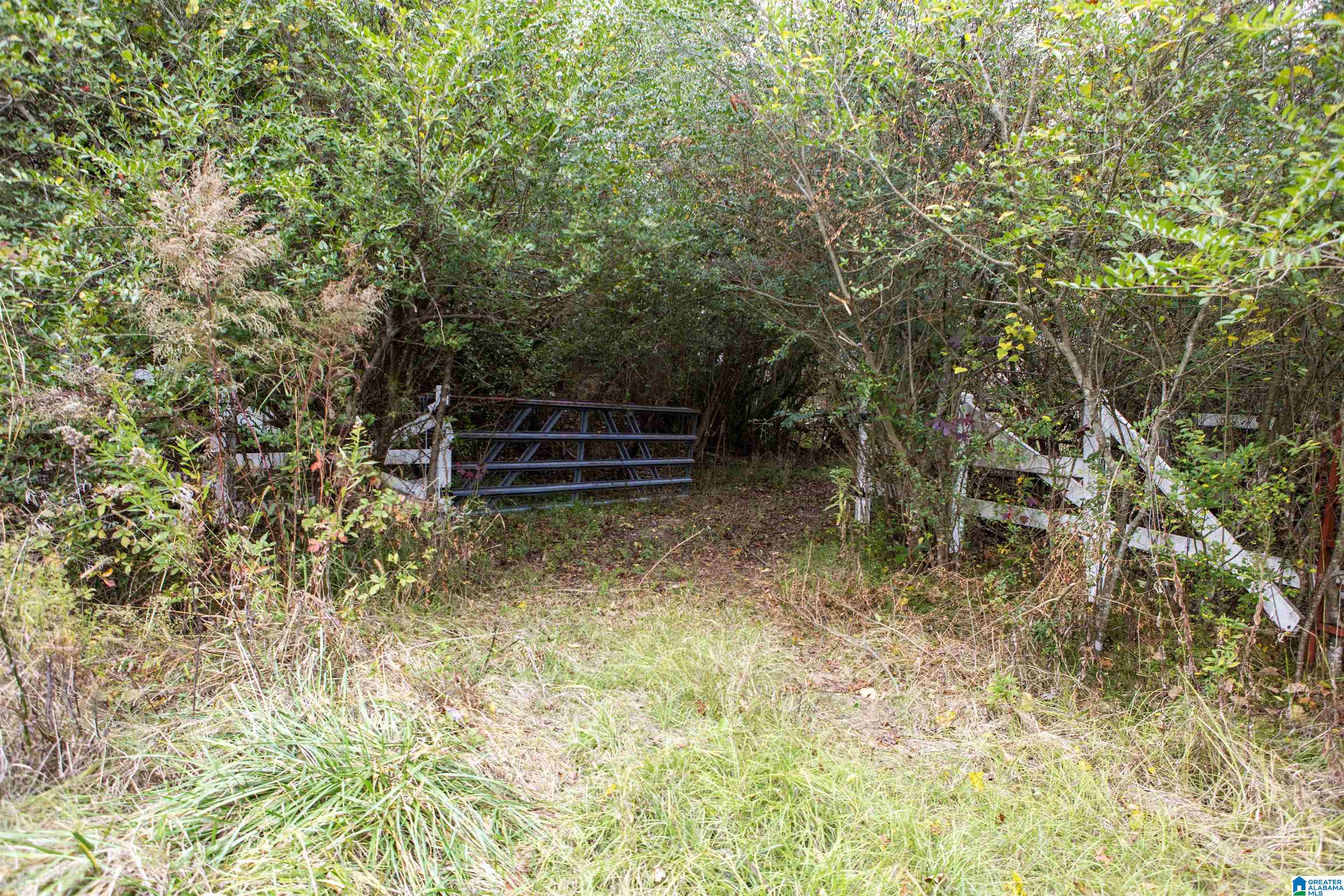 10543 Ford Valley Road Gadsden, AL 35905 - Photo 26 of 31
