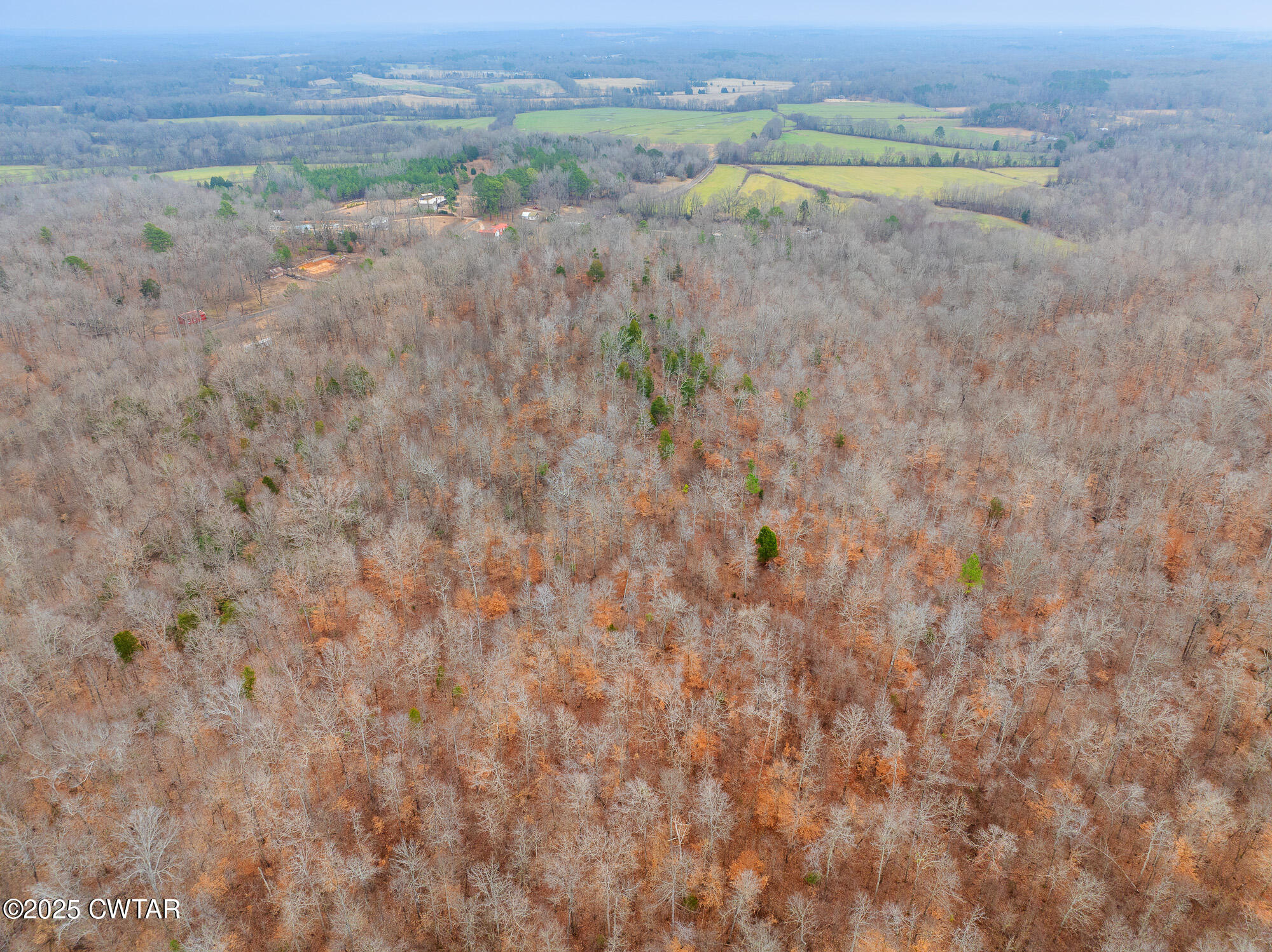 0 Sulphur Spring Road Parsons, TN 38363 - Photo 15 of 25 DJI_20250206125512_0013_D