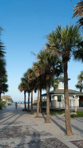 a couple of palm trees in front of house