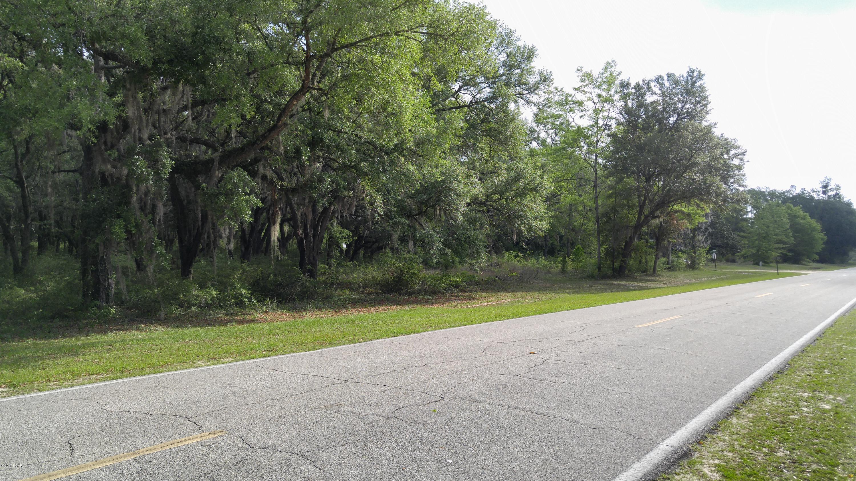 Xxx Spring Branch Road Bristol, FL 32321 - Photo 1 of 7 Gallery Image 1