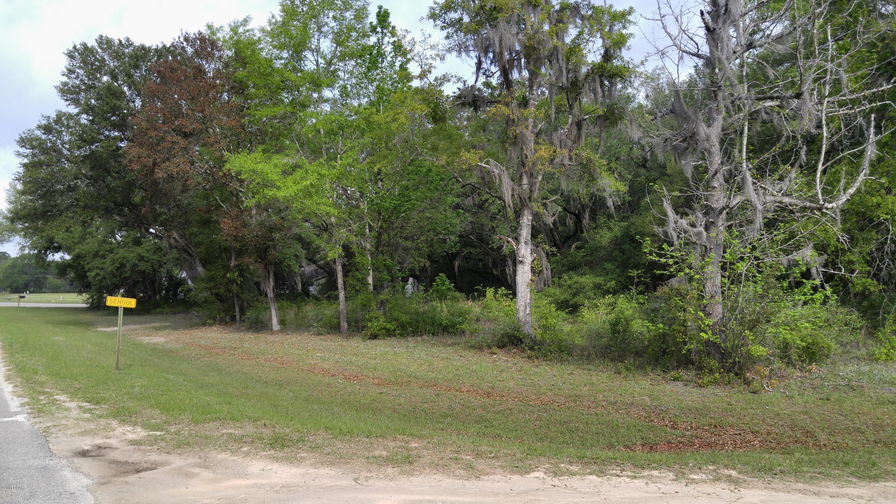 Xxx Spring Branch Road Bristol, FL 32321 - Photo 3 of 7 Gallery Image 3