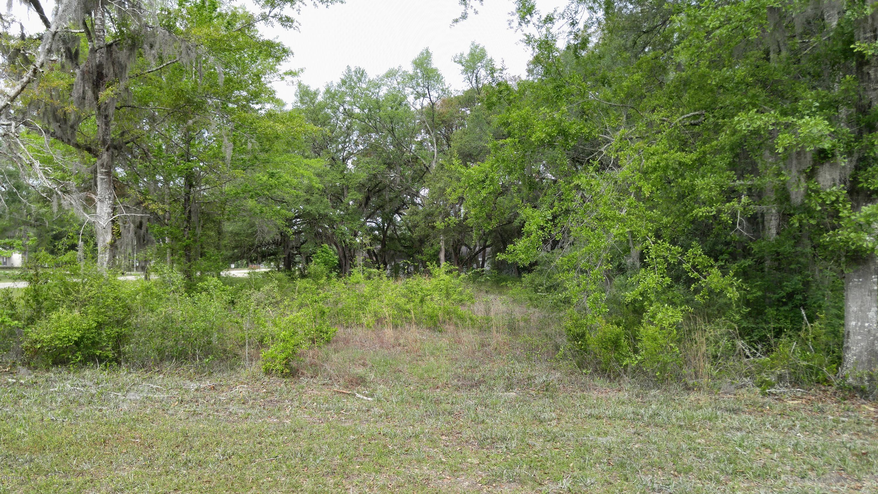 Xxx Spring Branch Road Bristol, FL 32321 - Photo 4 of 7 Gallery Image 4