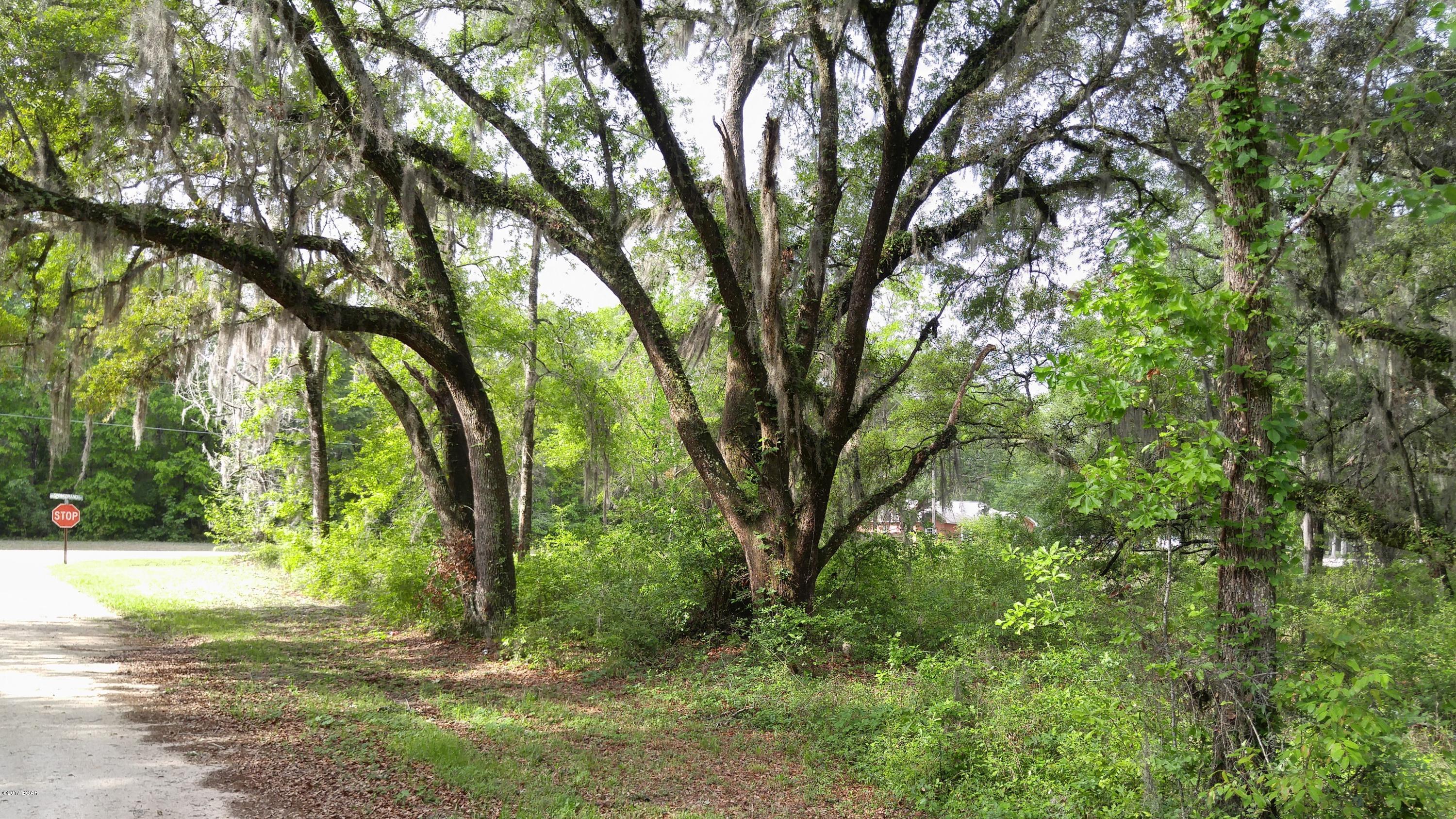 Xxx Spring Branch Road Bristol, FL 32321 - Photo 5 of 7 Gallery Image 5