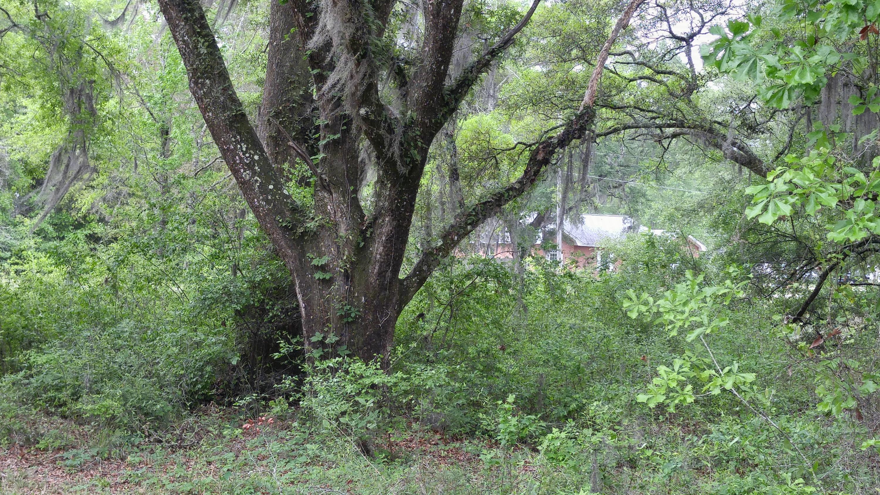 Xxx Spring Branch Road Bristol, FL 32321 - Photo 6 of 7 Gallery Image 6