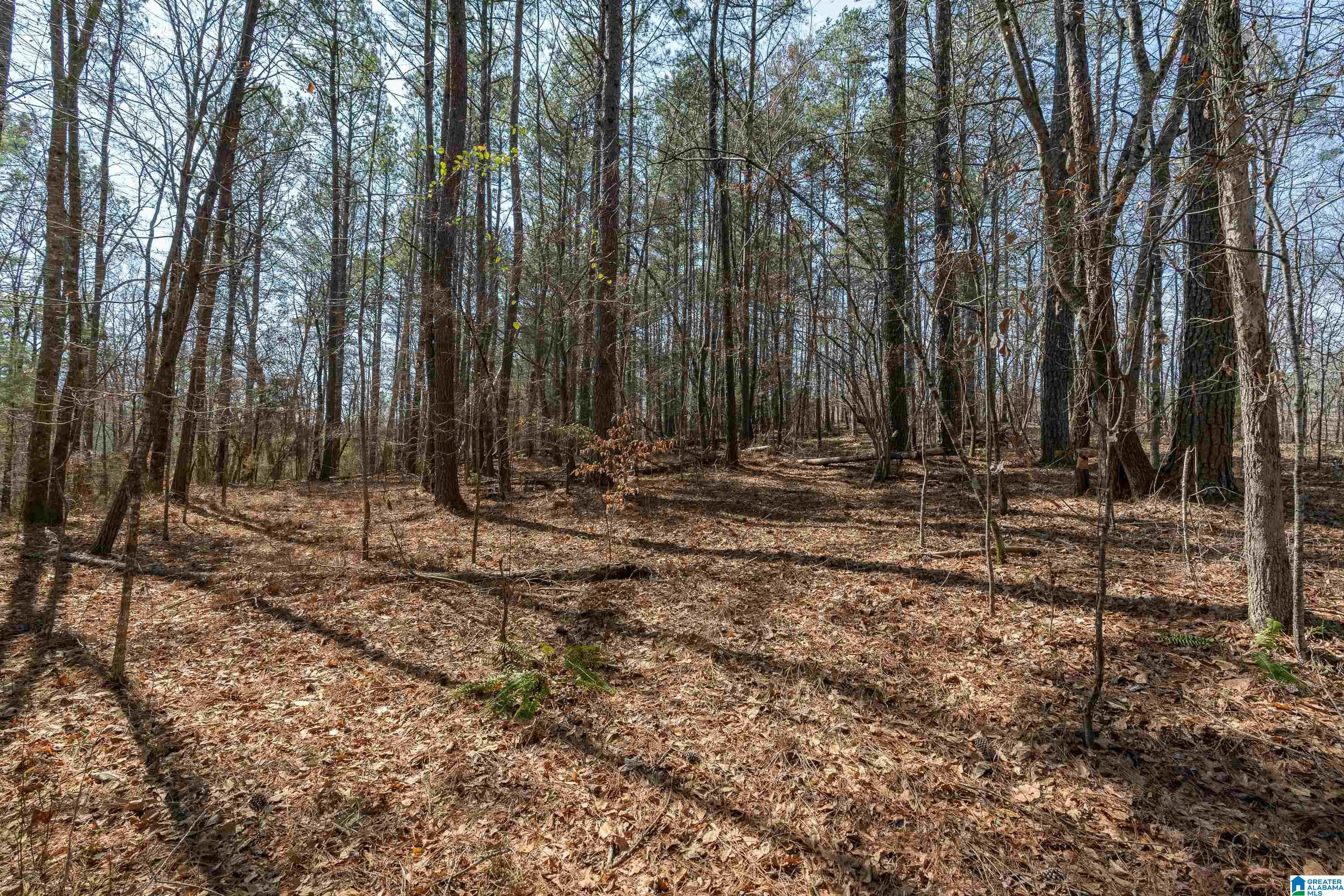 2050 Argo Margaret Road Odenville, AL 35120 - Photo 46 of 61