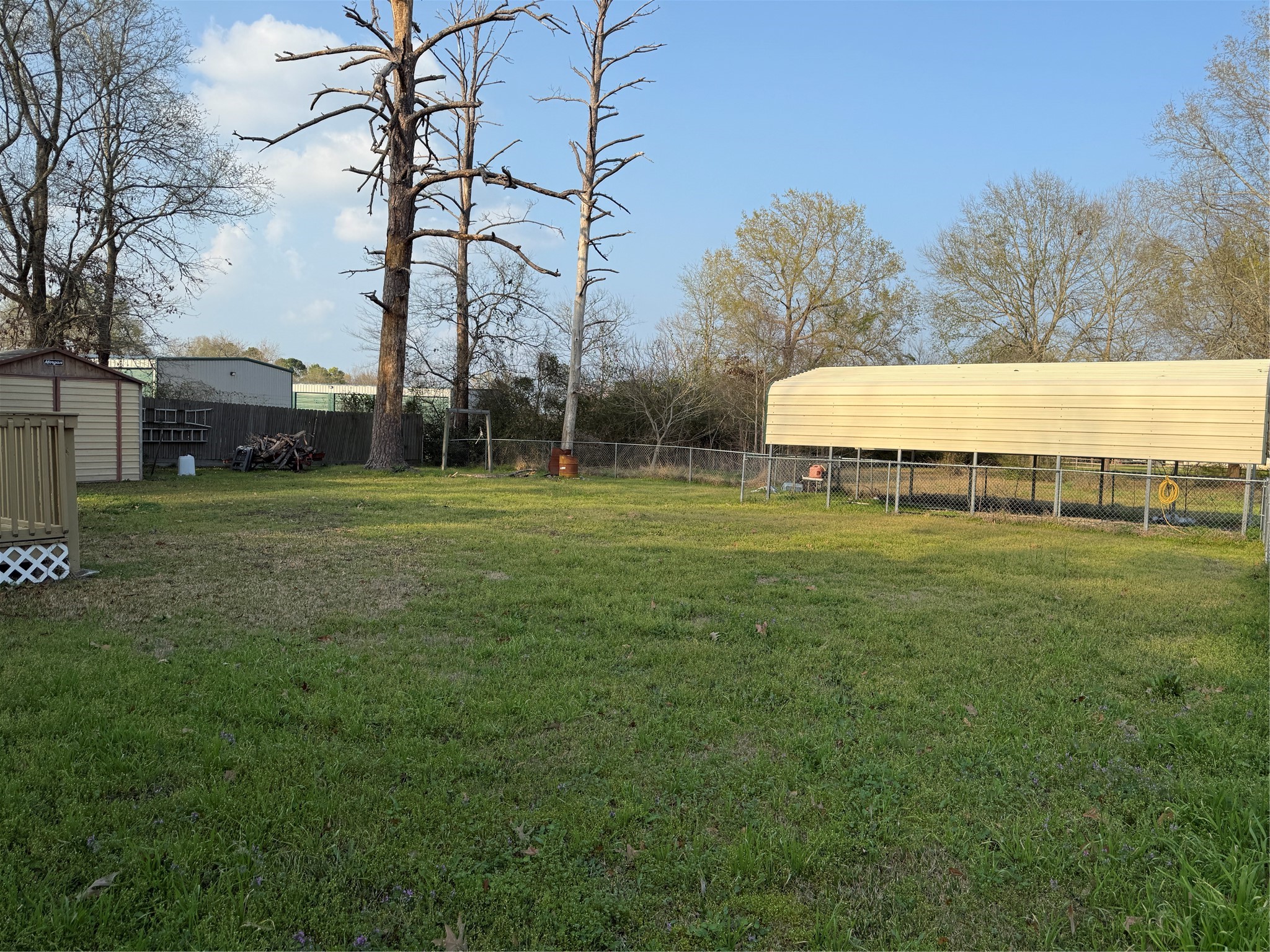 51 Oak Ridge Point Blank, TX 77364 - Photo 27 of 29 Big yard for everyone to enjoy.