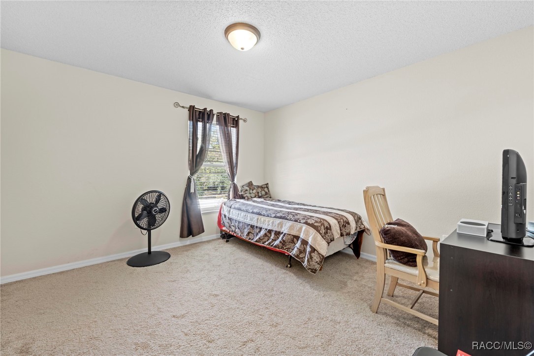 7319 Lagoon Road Spring Hill, FL 34606 - Photo 50 of 60