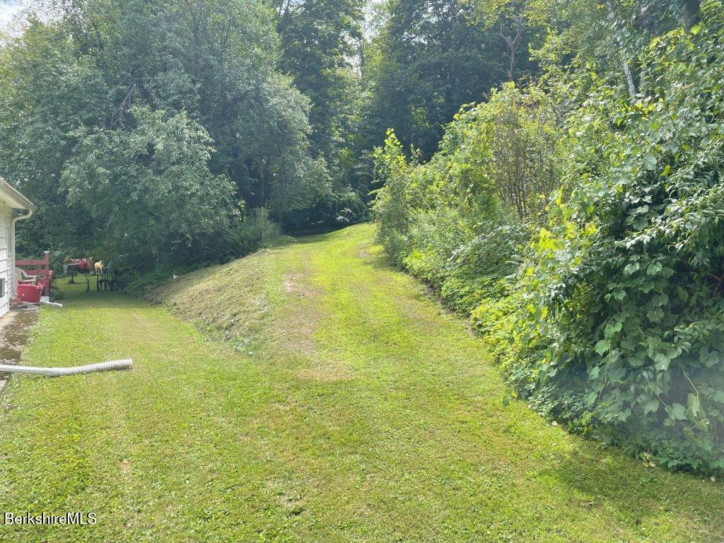 193 South Mountain Road Pittsfield, MA 01201 - Photo 26 of 49 a view of a trees