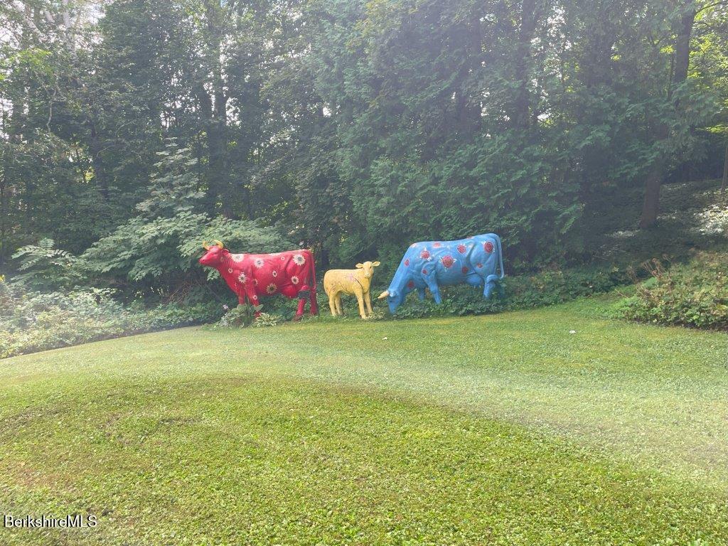 193 South Mountain Road Pittsfield, MA 01201 - Photo 35 of 49 a room with pool table and chairs