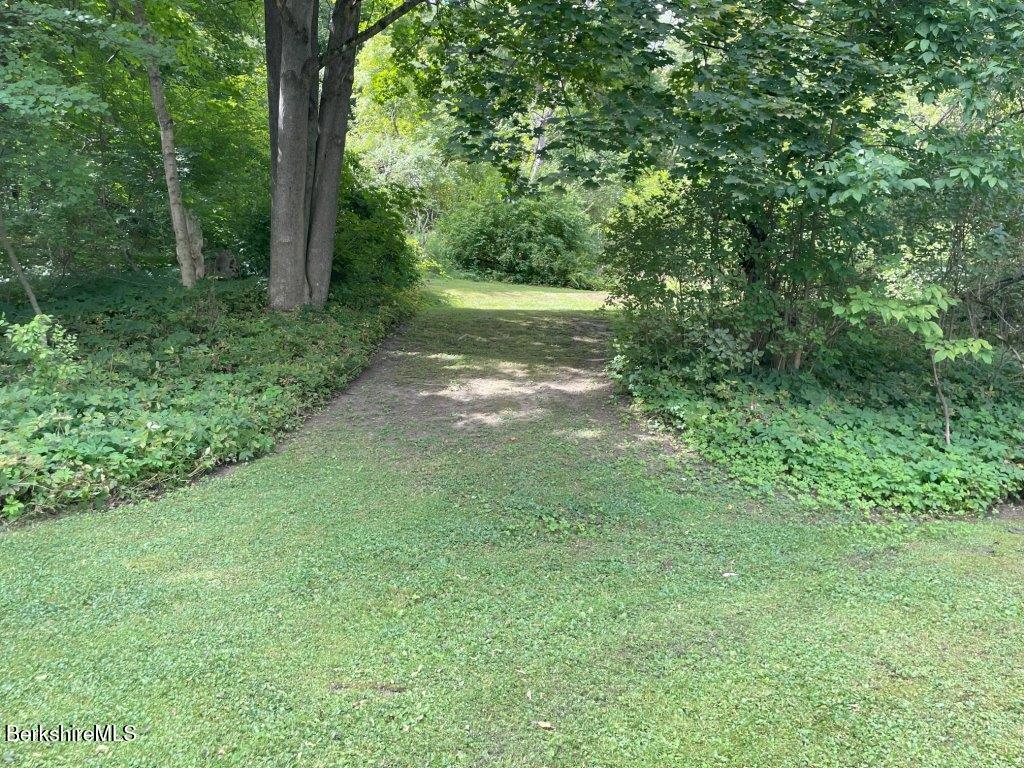 193 South Mountain Road Pittsfield, MA 01201 - Photo 39 of 49 a view of a yard with a tree