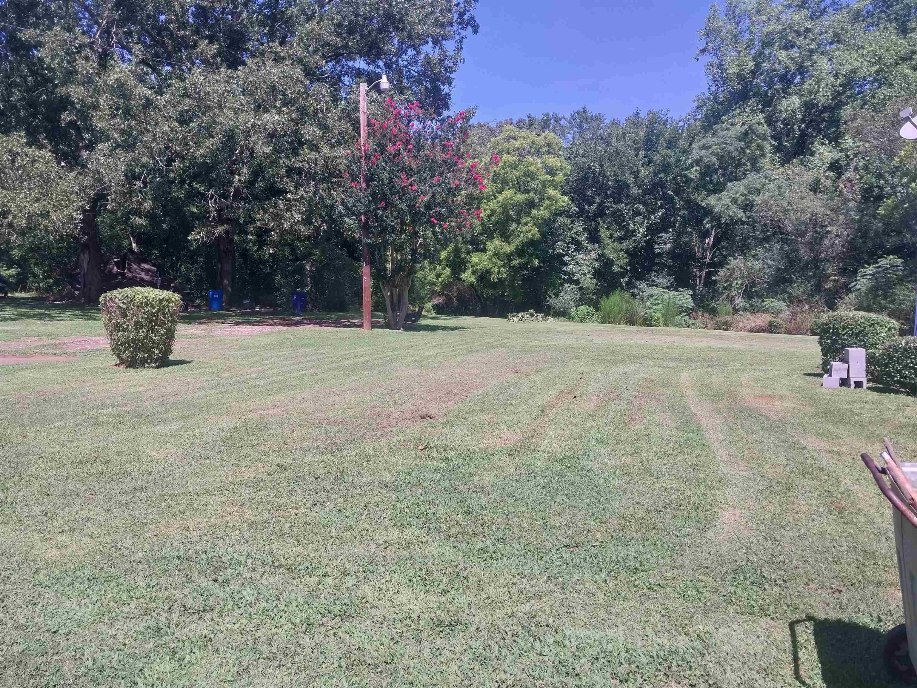 254 Irby Road Spartanburg, SC 29301 - Photo 6 of 8 Gallery Image 6