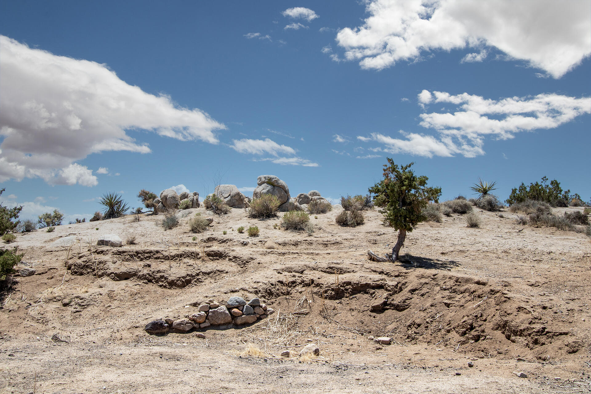 56949 Spencer Road Yucca Valley, CA 92284 - Photo 25 of 31 Terrain 2