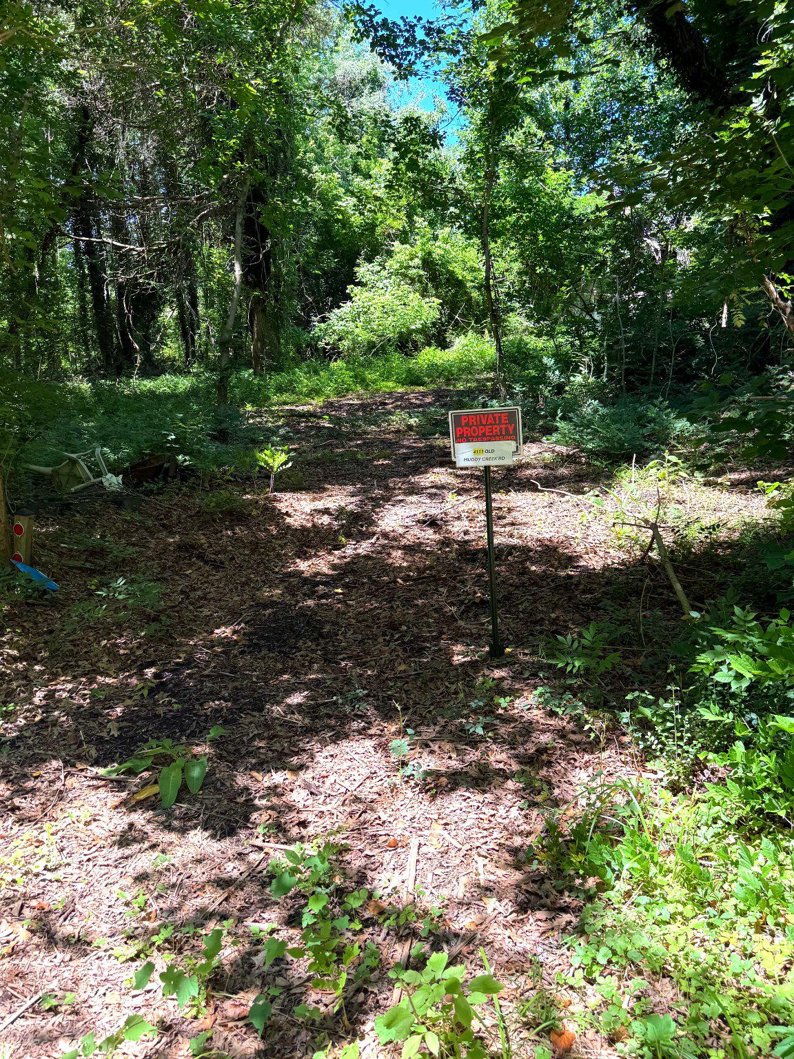 4111 Old Muddy Creek Road Edgewater, MD 21037 - Photo 10 of 20 Entrance to cleared area.