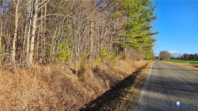$545,000 | 79-acres Richardson Road, Amelia Court House, VA 23002