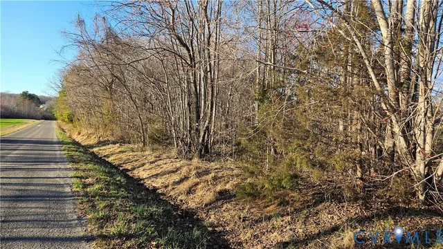 $545,000 | 79-acres Richardson Road, Amelia Court House, VA 23002