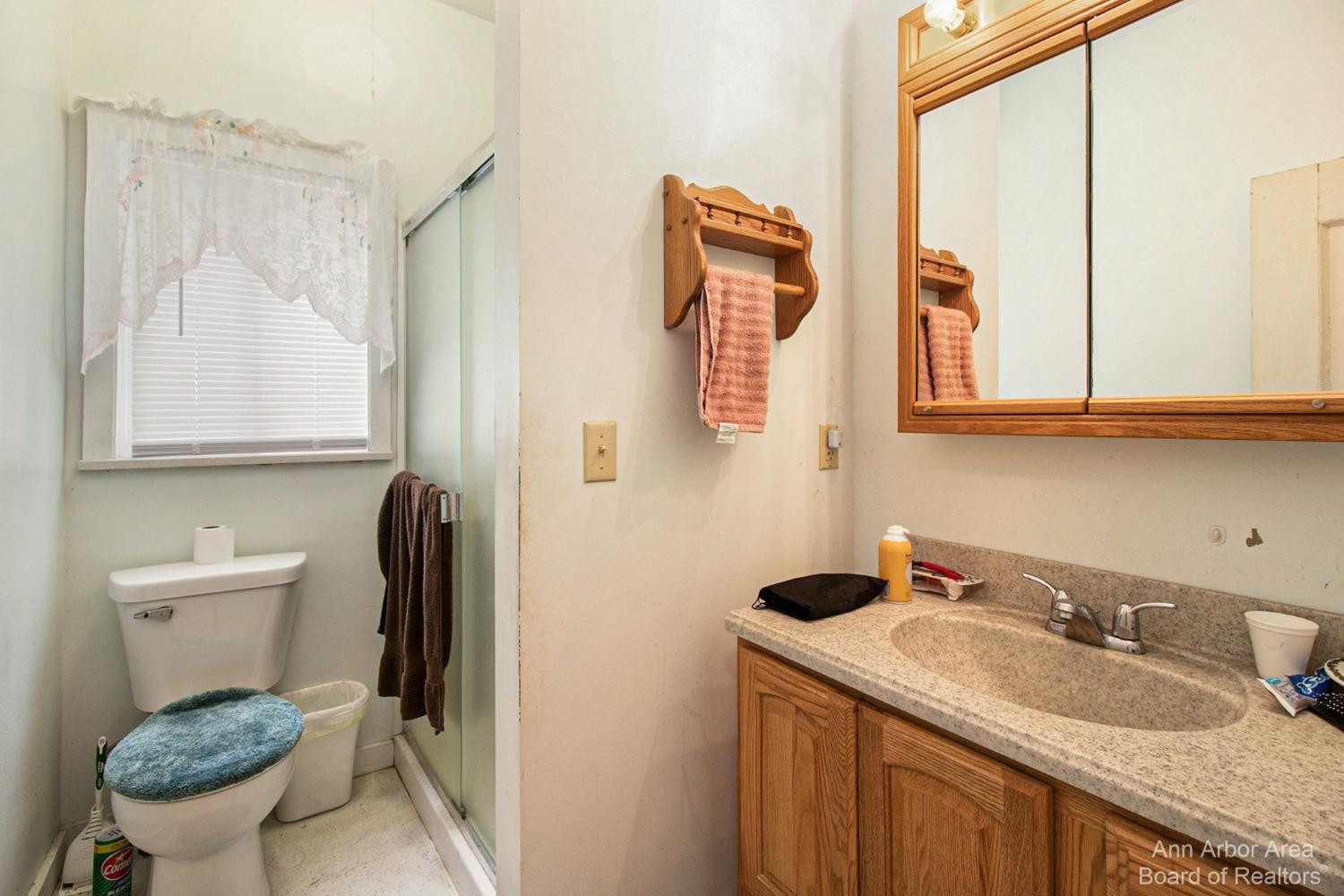 10705 Lima Center Road Manchester, MI 48158 - Photo 20 of 62 Photo 20