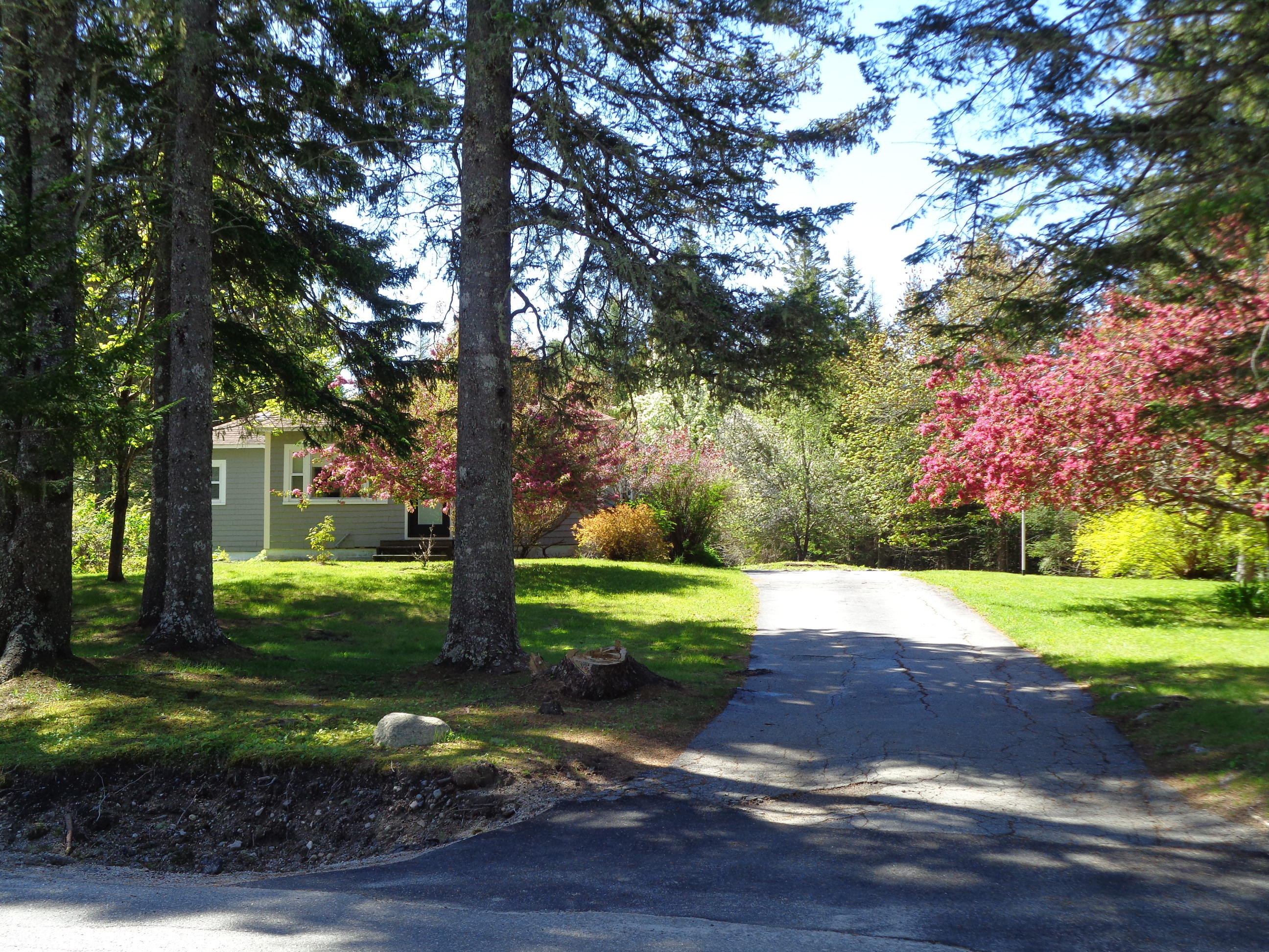 250 Village Road Steuben, ME 04680 - Photo 3 of 27 DSC03126