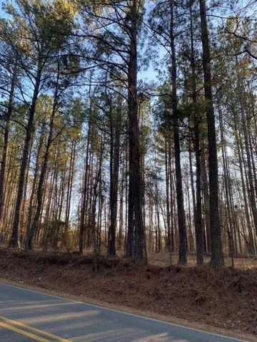 a view of backyard space
