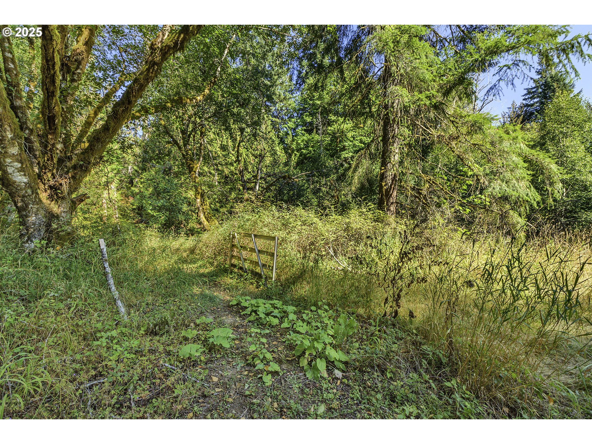 27810 Northwest Timber Road Timber, OR 97144 - Photo 37 of 47