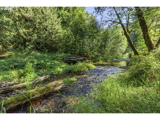 $625,000 | 27810 Northwest Timber Road, Timber, OR 97144