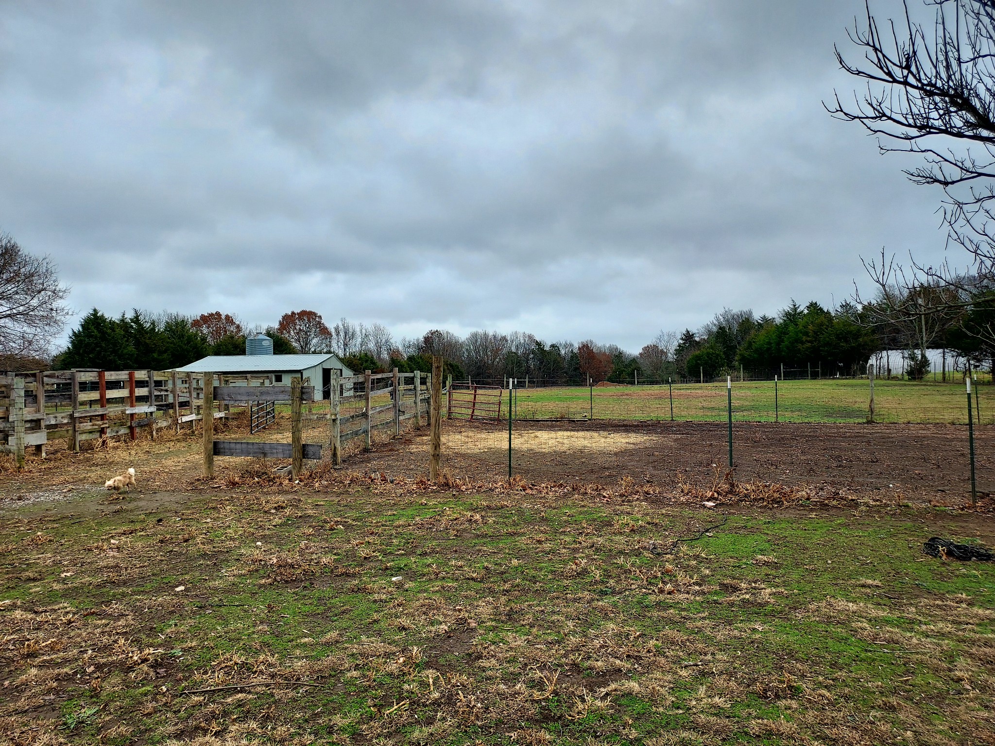 442 Sims Spring Road Shelbyville, TN 37160 - Photo 21 of 21 Gallery Image 21