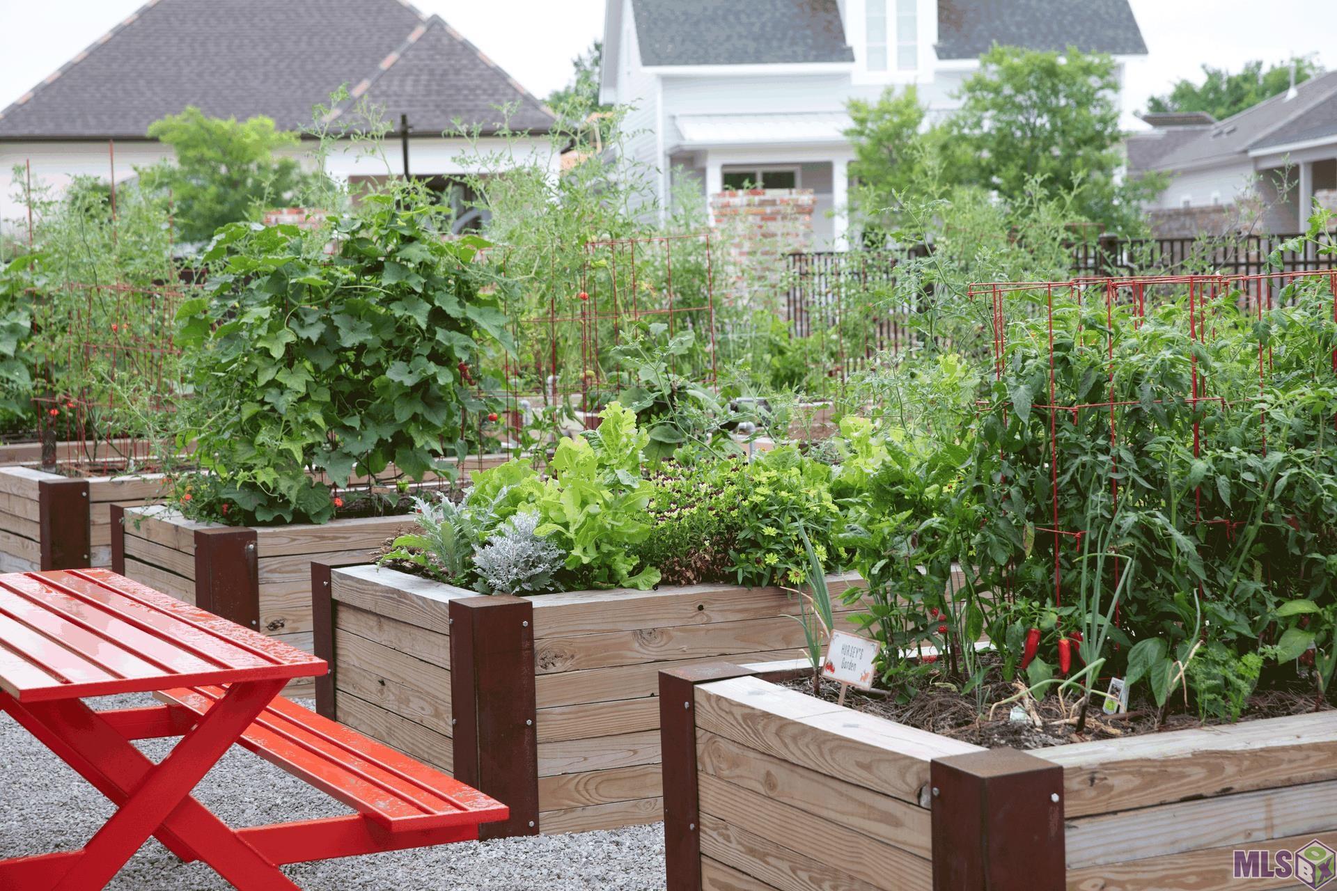 1804 Dauphine Street Baton Rouge, LA 70808 - Photo 4 of 17