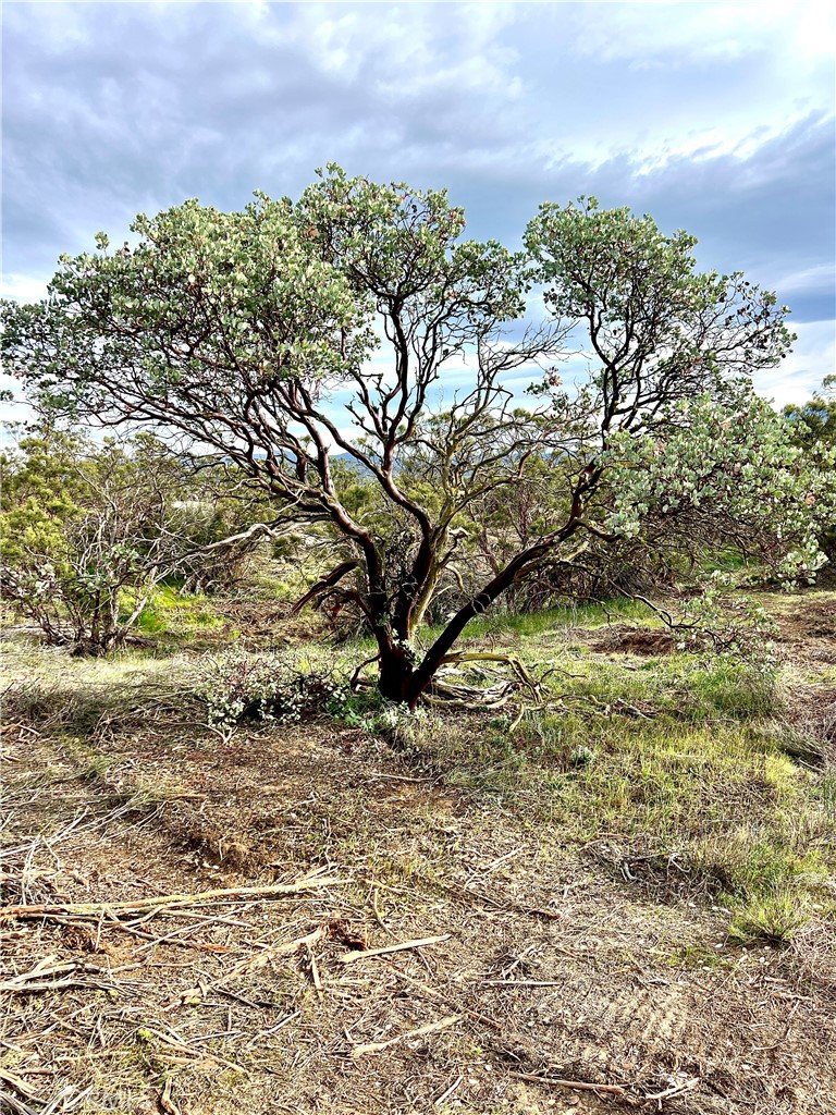 1 Overton Road Hemet, CA 92544 - Photo 6 of 21