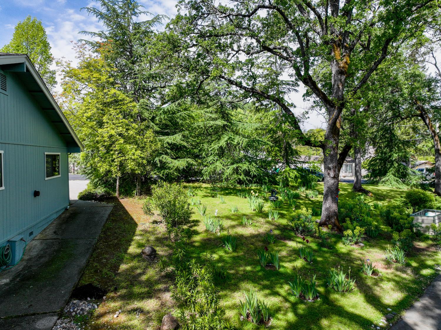 24215 Green Valley Road Auburn, CA 95602 - Photo 24 of 67