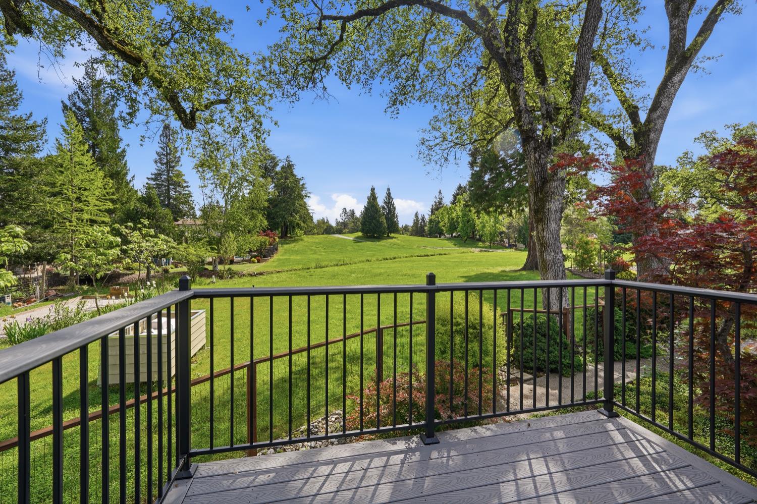 24215 Green Valley Road Auburn, CA 95602 - Photo 48 of 67 Whatta VIEW !