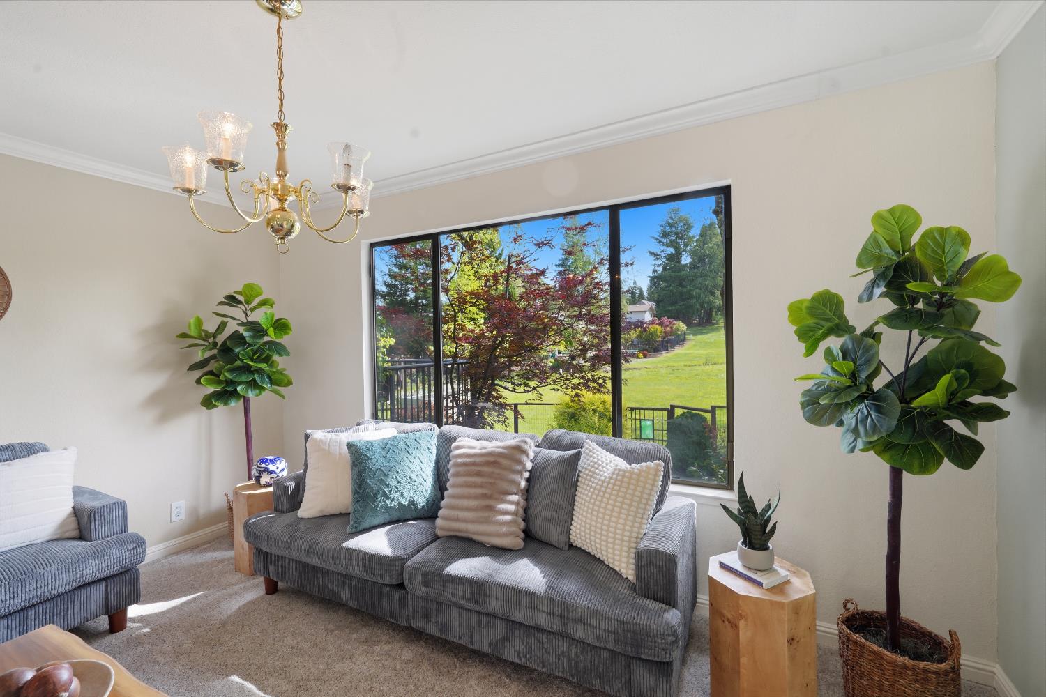 24215 Green Valley Road Auburn, CA 95602 - Photo 49 of 67