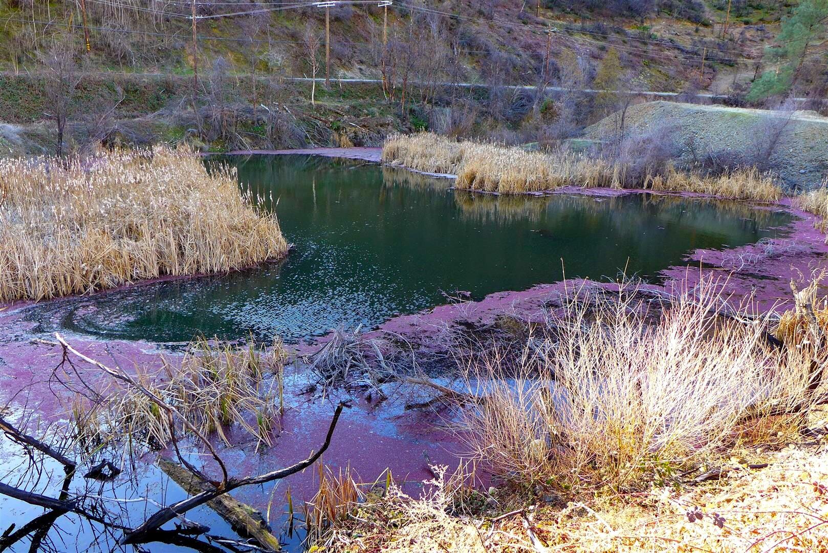 0 Trinity Mountain Road French Gulch, CA 96033 - Photo 20 of 30 a view of a lake with a yard