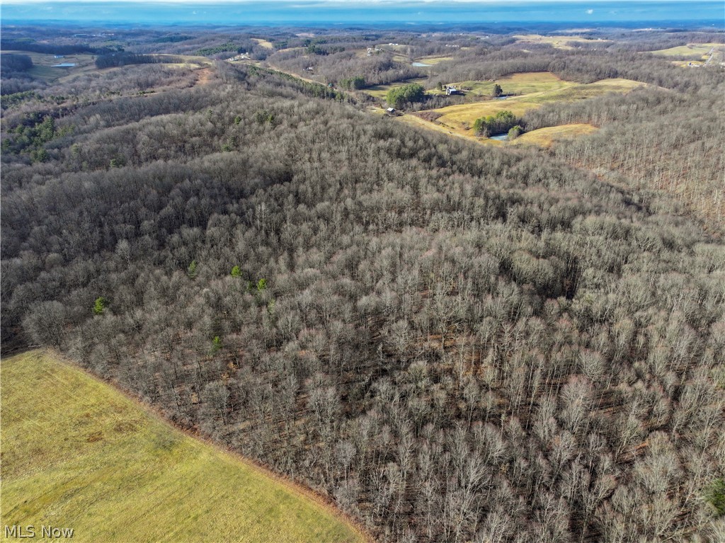 0 Tract 10 Kuhn Road Lewisville, OH 43754 - Photo 23 of 27