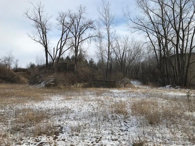 Kelly Rd Kelly Road Cass City, MI 48726 - Photo 4 of 22