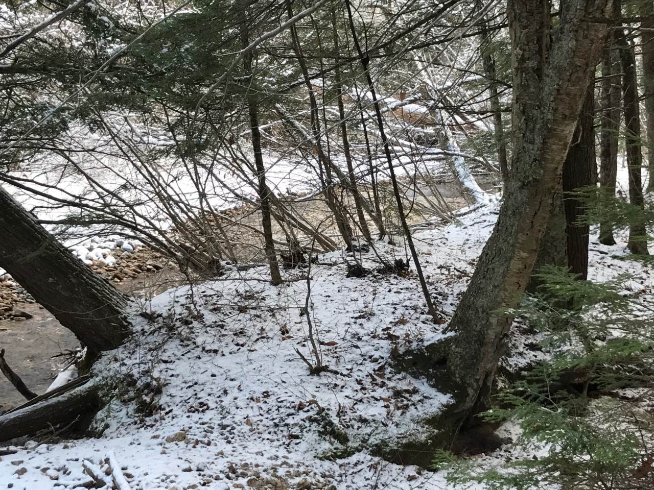 11 Conner Pond Road Ossipee, NH 03814 - Photo 2 of 9