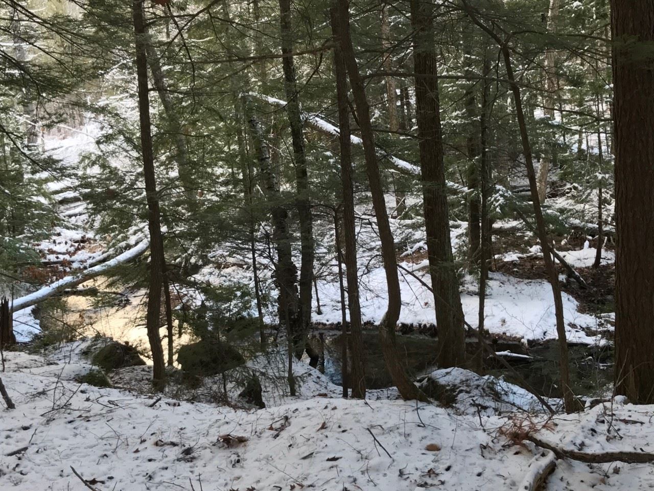 11 Conner Pond Road Ossipee, NH 03814 - Photo 5 of 9