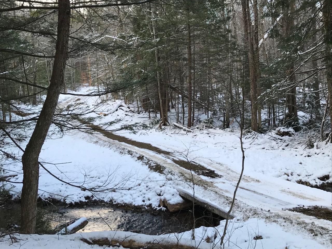 11 Conner Pond Road Ossipee, NH 03814 - Photo 6 of 9