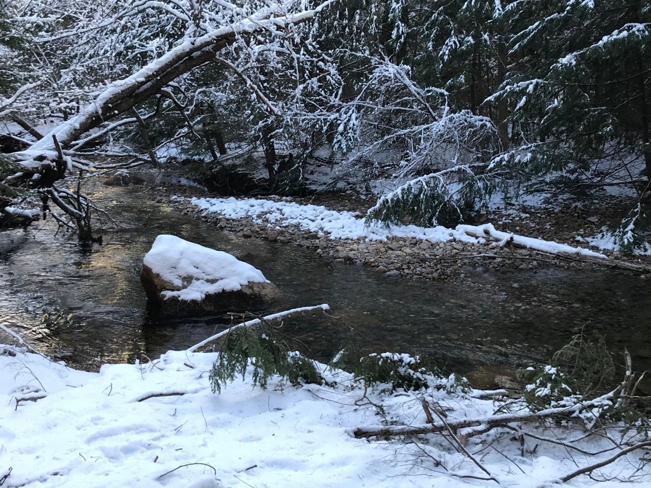 11 Conner Pond Road Ossipee, NH 03814 - Photo 7 of 9