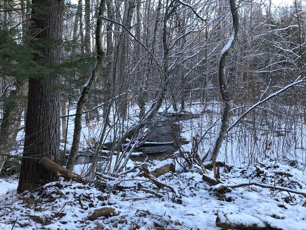 11 Conner Pond Road Ossipee, NH 03814 - Photo 9 of 9