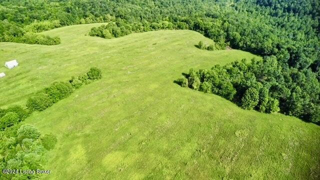 4670 Rabbit Flat Road Caneyville, KY 42721 - Photo 32 of 53 IMG_7270
