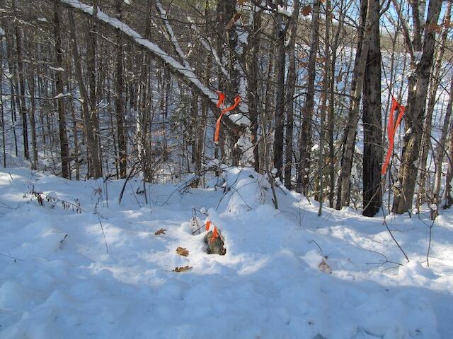 2 McAlister Road Buckfield, ME 04220 - Photo 19 of 35 IMG_0163