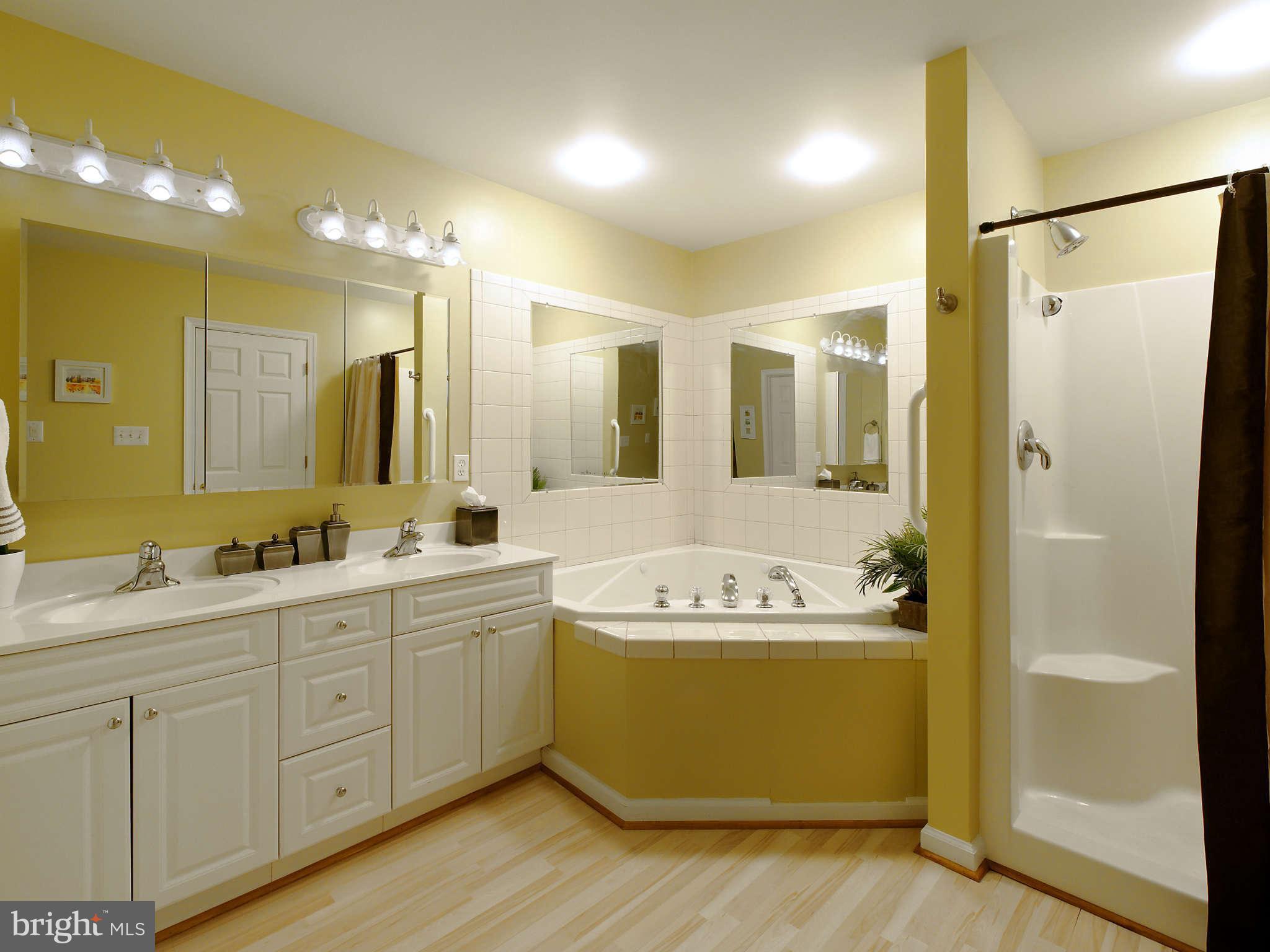 5002 Howellsville Road Front Royal, VA 22630 - Photo 6 of 21 a bathroom with a tub a sink and mirror