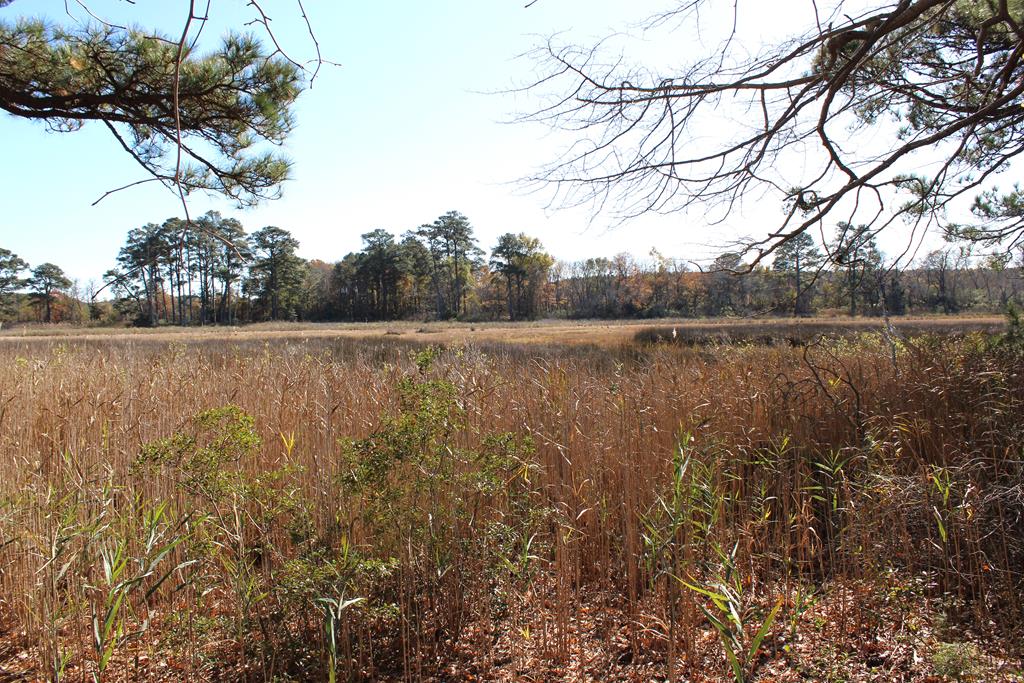 Lot 3-4 Mink Farm Road, Unit 4 3 Onancock, VA 23417 - Photo 10 of 19