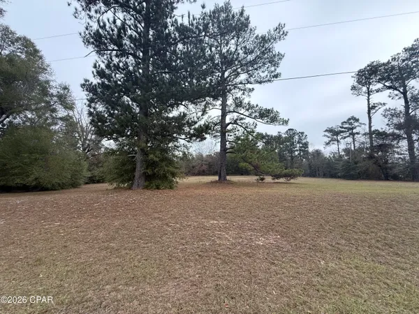 $33,000 | 2054 Dairy Road, Sneads, FL 32460